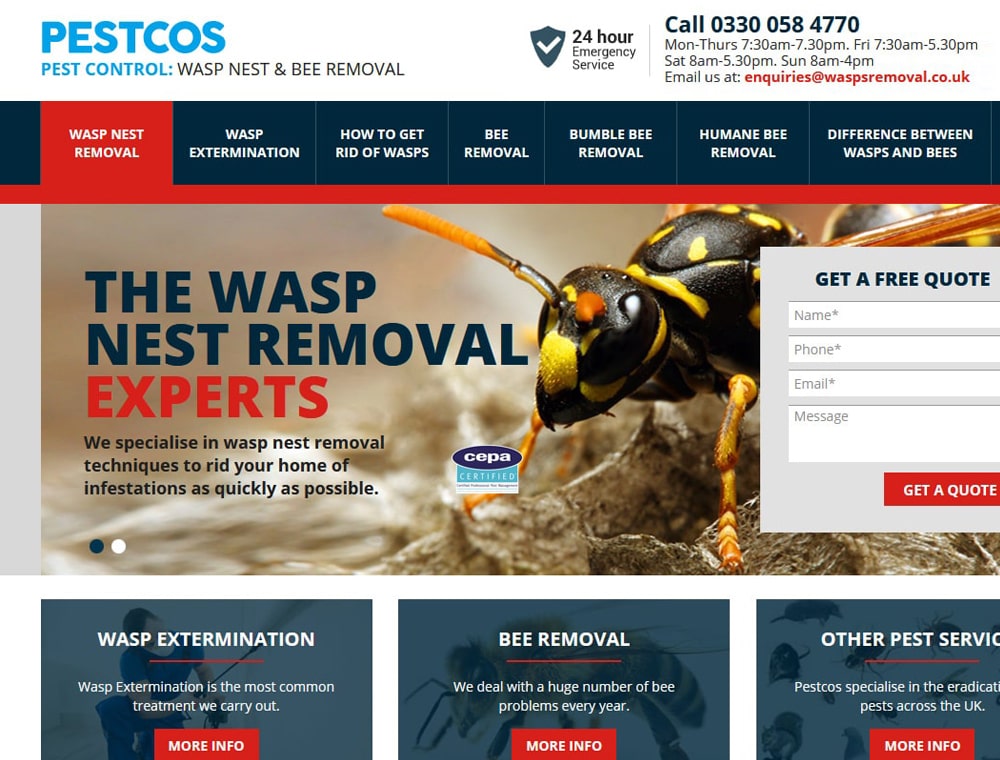 Wasps Removal Website